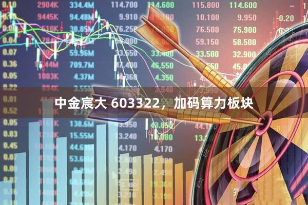 中金宸大 603322，加码算力板块