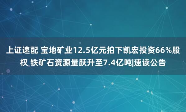 上证速配 宝地矿业12.5亿元拍下凯宏投资66%股权 铁矿石资源量跃升至7.4亿吨|速读公告