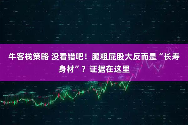 牛客栈策略 没看错吧！腿粗屁股大反而是“长寿身材”？证据在这里