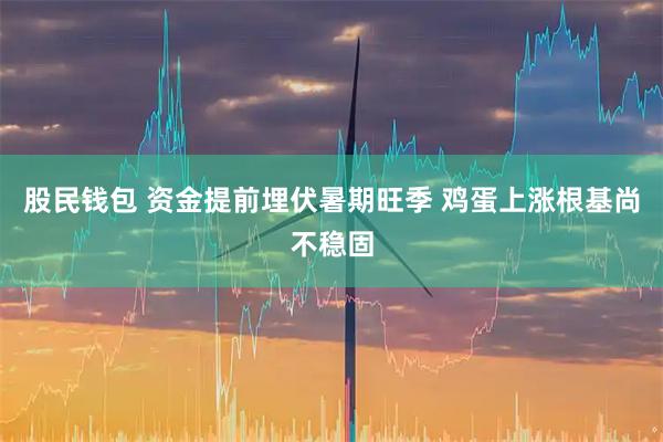 股民钱包 资金提前埋伏暑期旺季 鸡蛋上涨根基尚不稳固