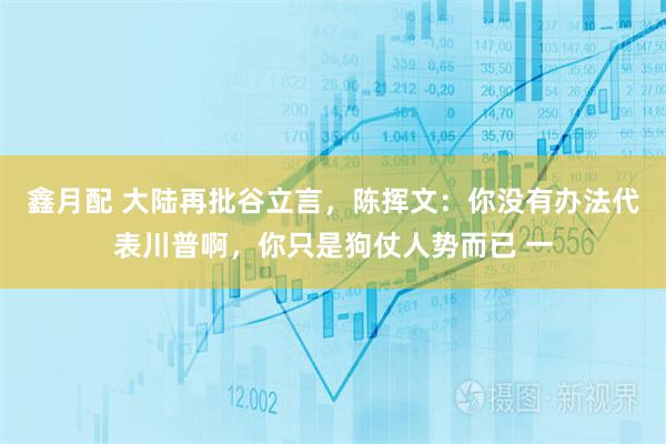 鑫月配 大陆再批谷立言，陈挥文：你没有办法代表川普啊，你只是狗仗人势而已 一
